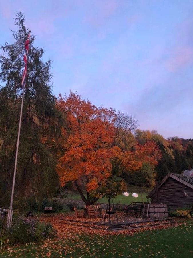 Skjeggestad Gjestehus Ringebu Buitenkant foto